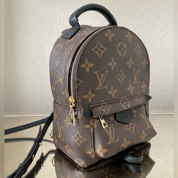 Louis Vuitton Palm Springs Mini - Picture 11 of 16